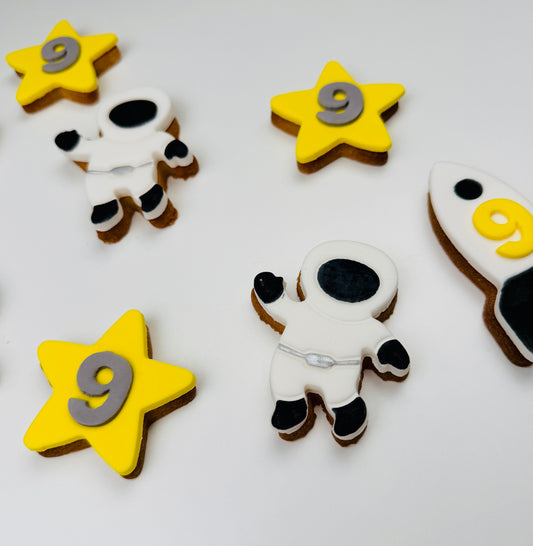 Astronauten Party Box